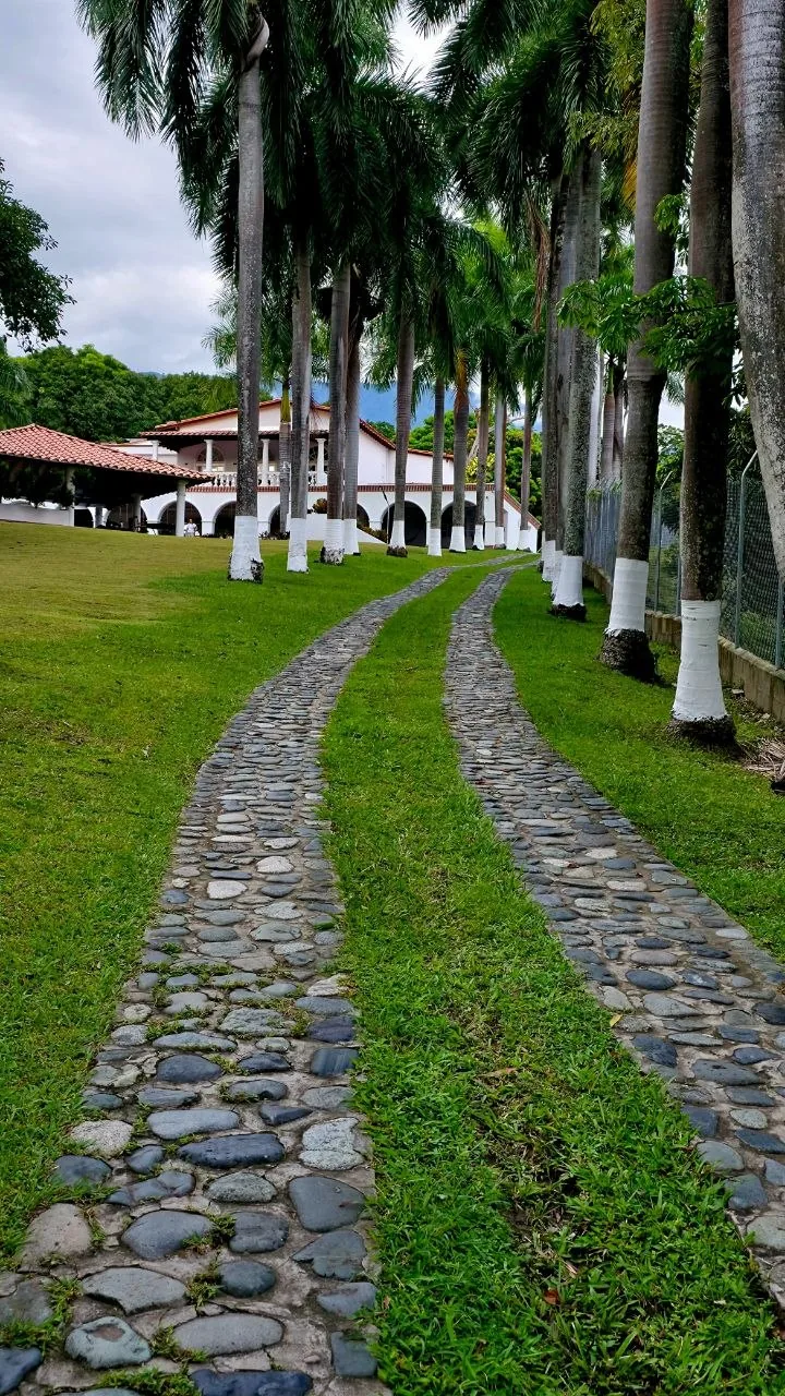 Finca El Jaguar