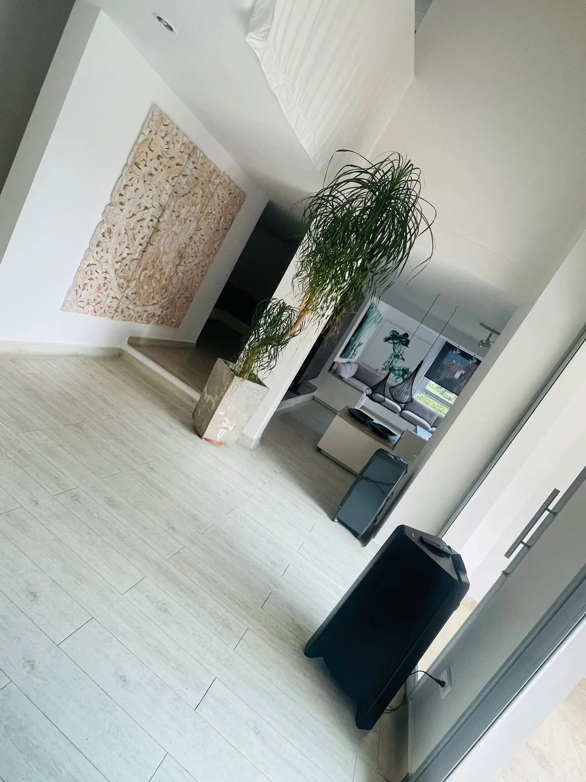 Finca Premium · San Jerónimo